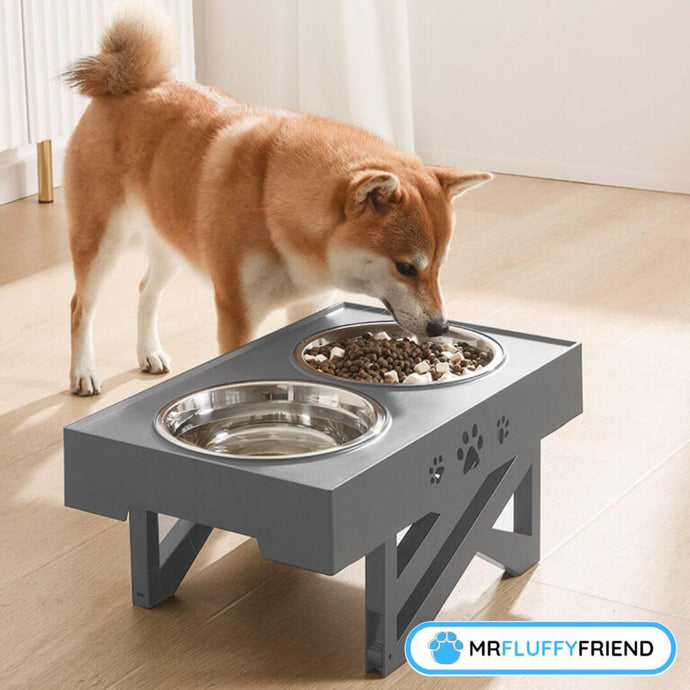 Best Bowls for Dogs: A Comprehensive Guide