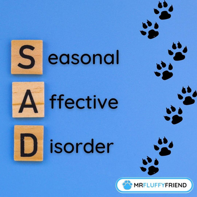 Winter Chill: Can Dogs Get Seasonal Affective Disorder?