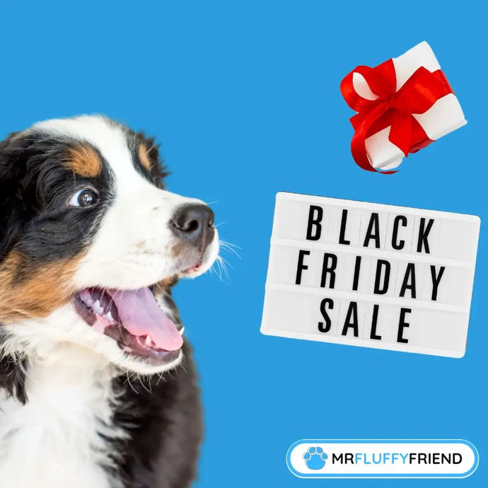 Black Friday Pet Deals: Top 3 Picks for Your Fluffy Friends