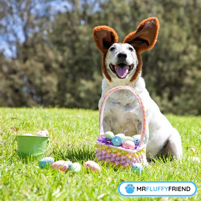 Dog Easter Basket Ideas: Our Ultimate Guide