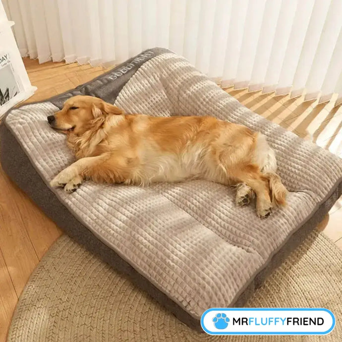 Complete Guide to Choosing a Large Calming Dog Cushion
