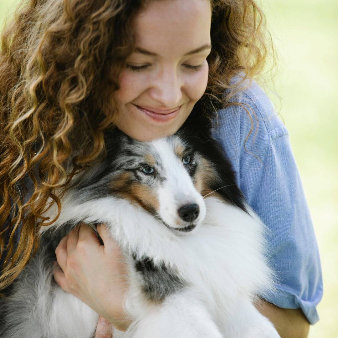 15 Dog Breeds with the Softest Fur for Cuddling