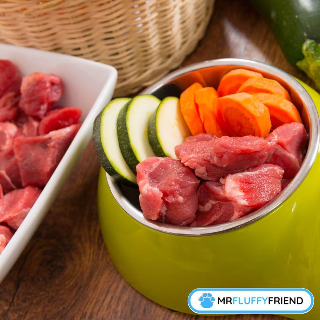 Raw vs Cooked Dog Food MrFluffyFriend™