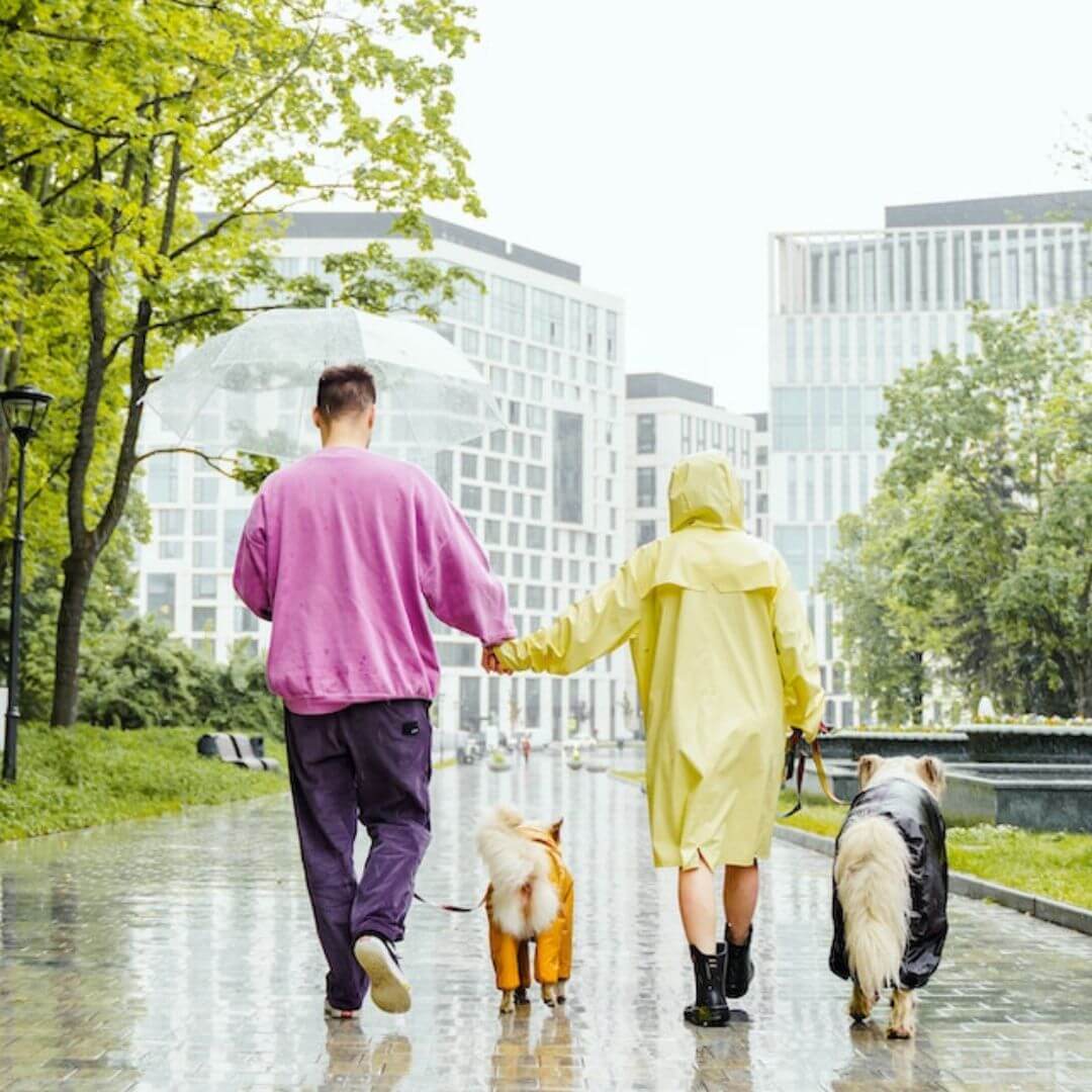 tips-for-a-rainy-day-dog-walk-mrfluffyfriend