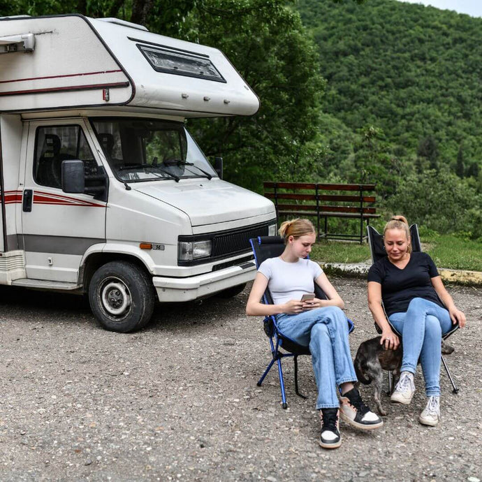The Best Dog Breed for Van Life