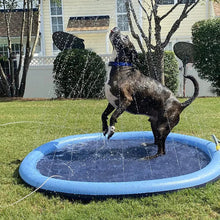 Load image into Gallery viewer, MrFluffyFriend™ - Paddling Pool for Dogs
