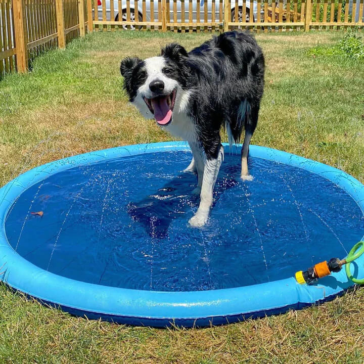 MrFluffyFriend™ - Paddling Pool for Dogs