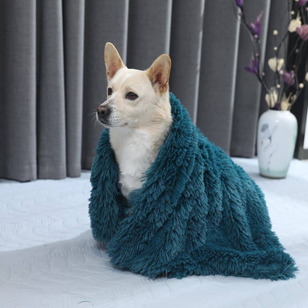 Fluffy dog blanket hotsell