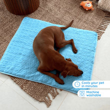 Load image into Gallery viewer, MrFluffyFriend™ - Ultimate Cooling Mat for Pets
