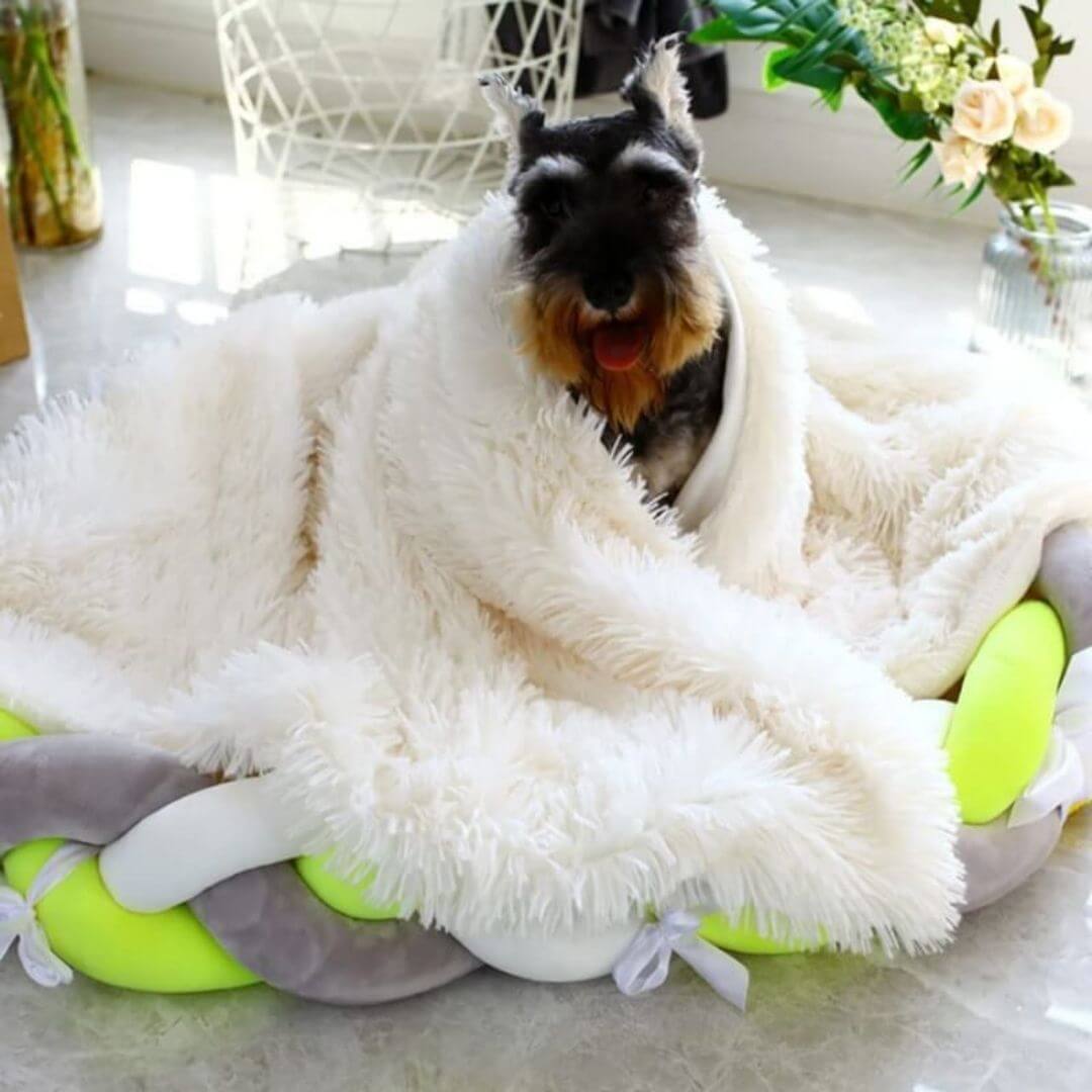 MrFluffyFriend™ - Anxiety Relieving Fluffy Pet Blanket