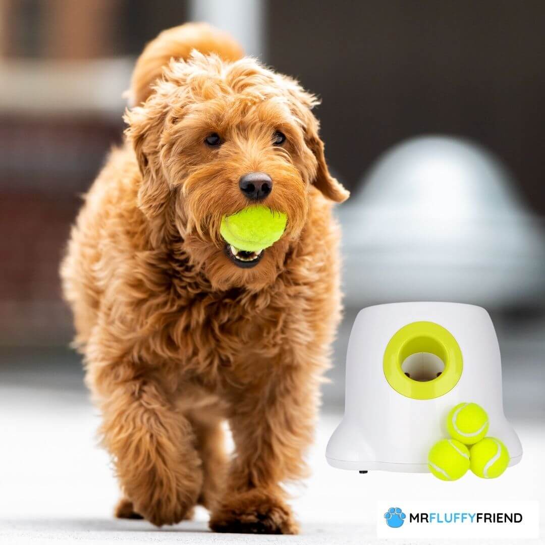 Hyper Pet Dog Ball Thrower-Interactive Toys (Load & Launch Tennis