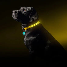 Load image into Gallery viewer, MrFluffyFriend™  - Rechargeable Dog Collar
