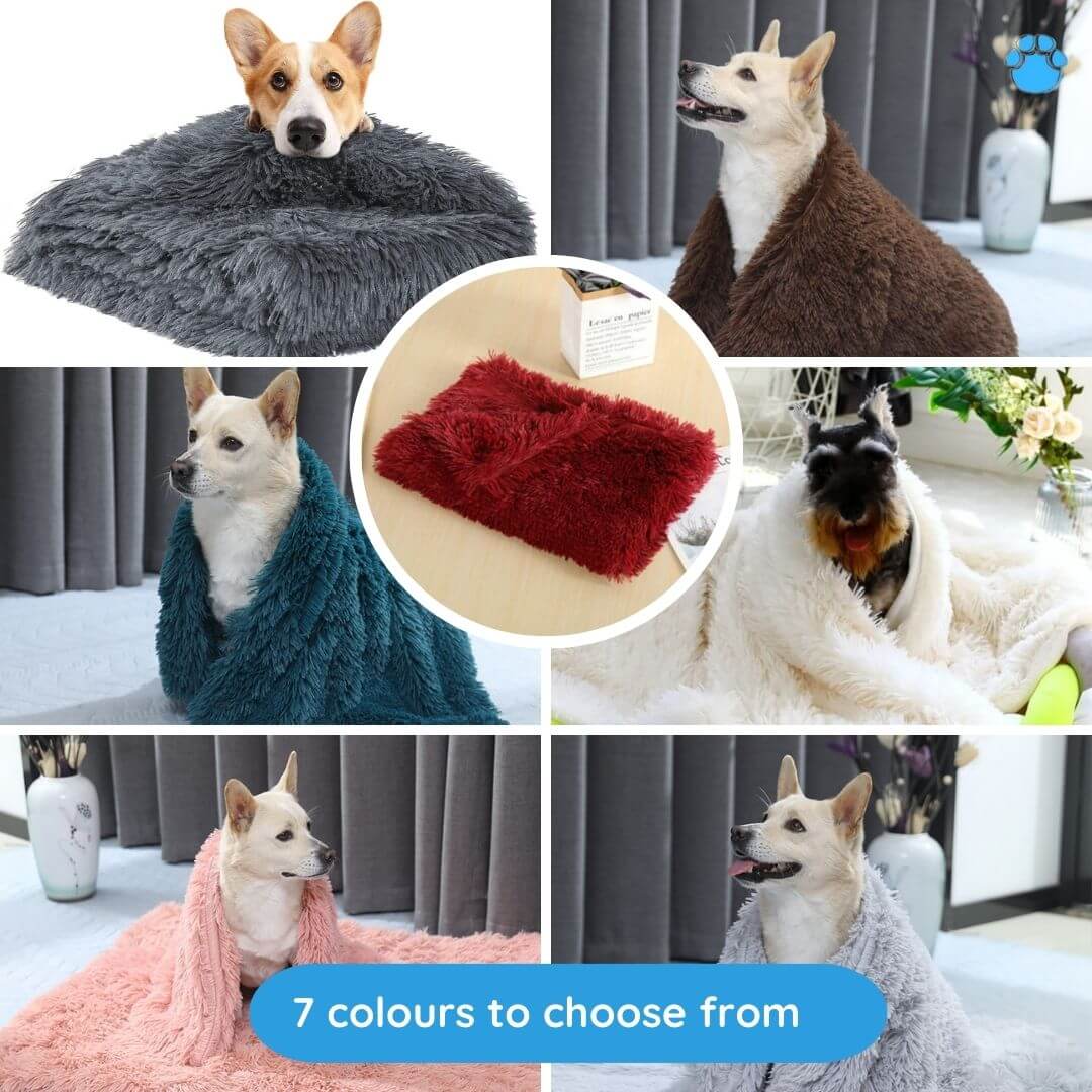 Cat discount fluffy blanket