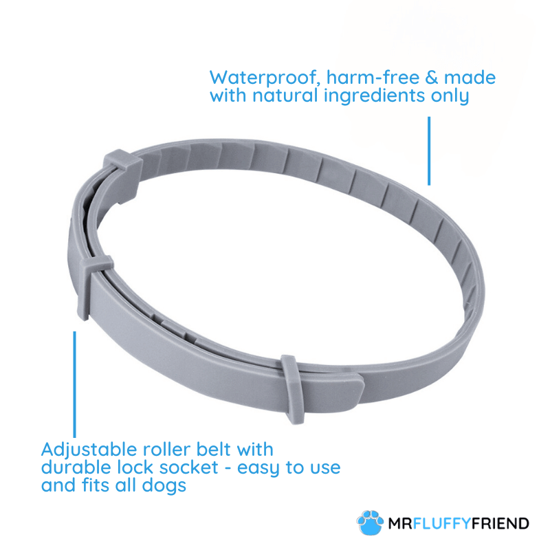 MrFluffyFriend™ - Flea and Tick Prevention Collar