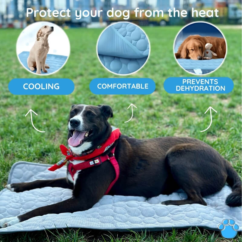 MrFluffyFriend™ - Ultimate Cooling Mat for Pets