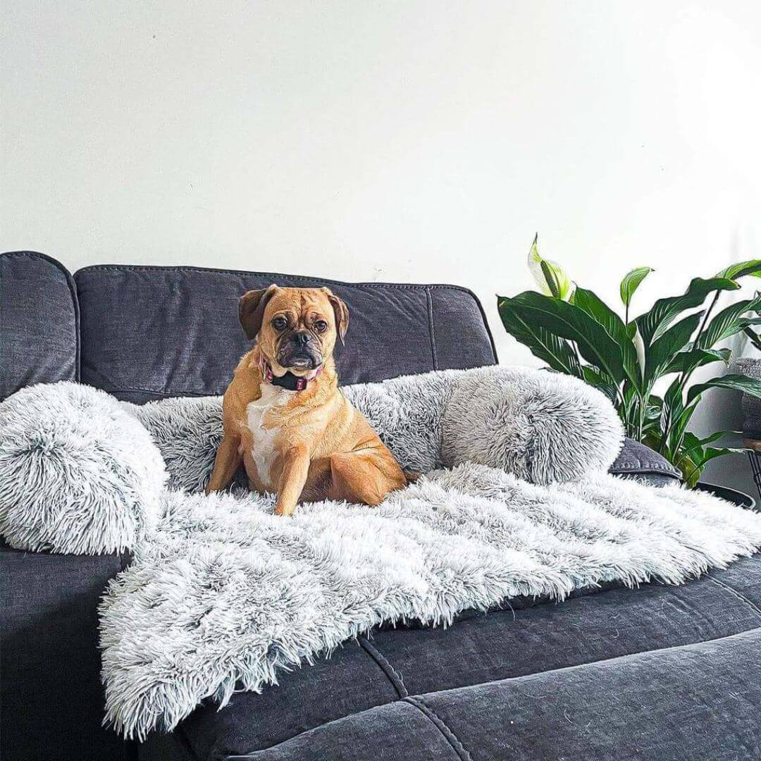 Faux Fur Sofa Covers, Throws Blankets Sofa Slipcovers for Pets