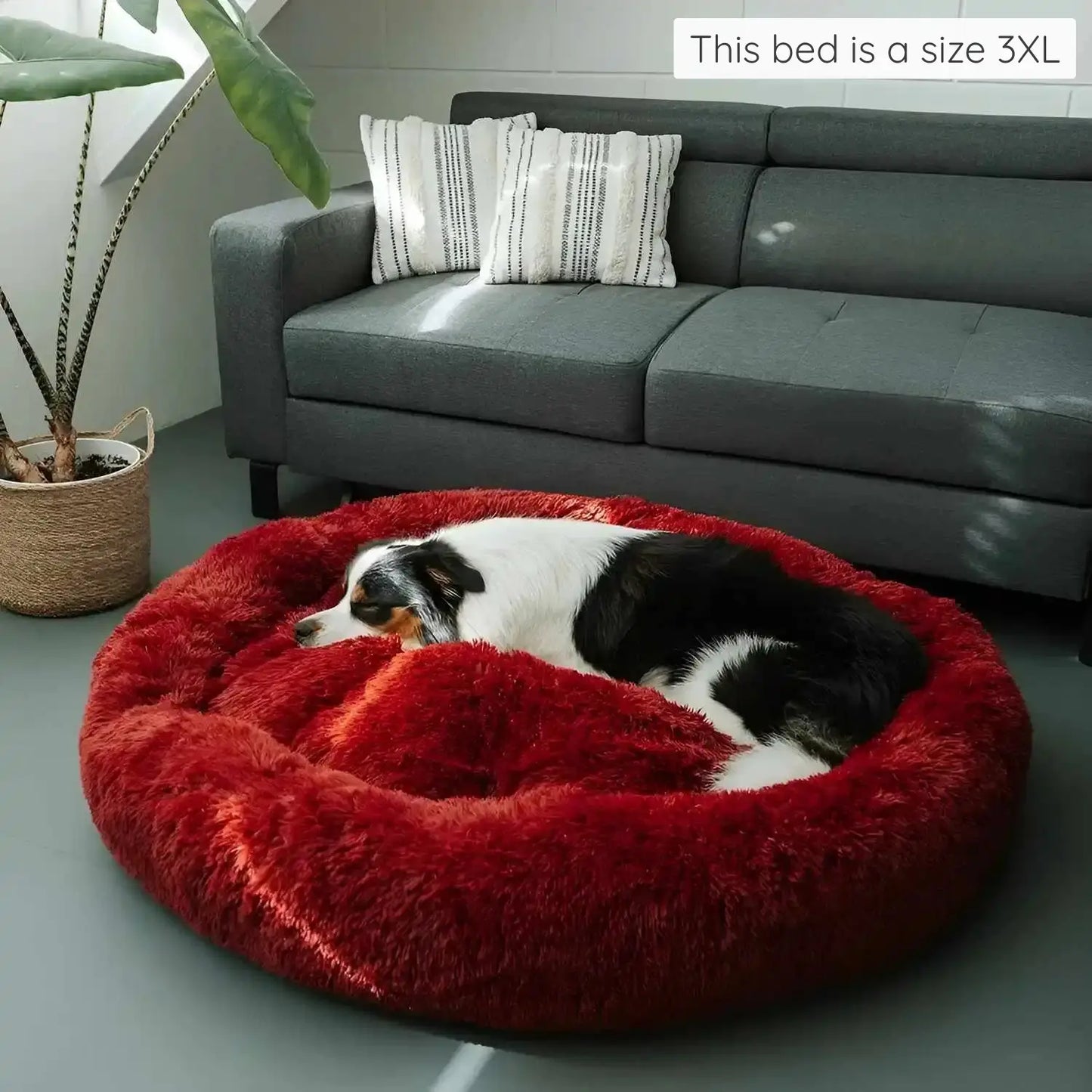 MrFluffyFriend™ - World's #1 Anxiety Relieving Dog Bed