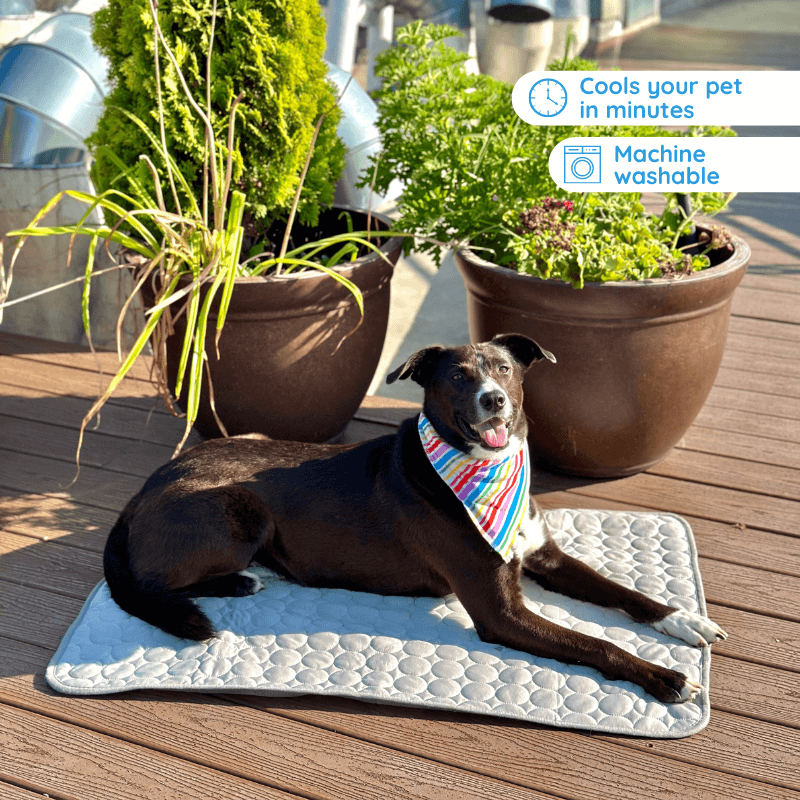 HENGBIRD Dog Cooling Mat, Large Size Cooling Mat For Dogs, Washable Dog