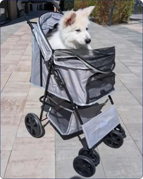 Daniel – 45 – Florida