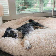 Load image into Gallery viewer, Dog laying on fluffy dog bed in apricot color
