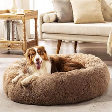 Load image into Gallery viewer, Dog laying on fluffy dog bed in brown color
