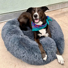 Load image into Gallery viewer, Dog laying on fluffy dog bed in dark grey color
