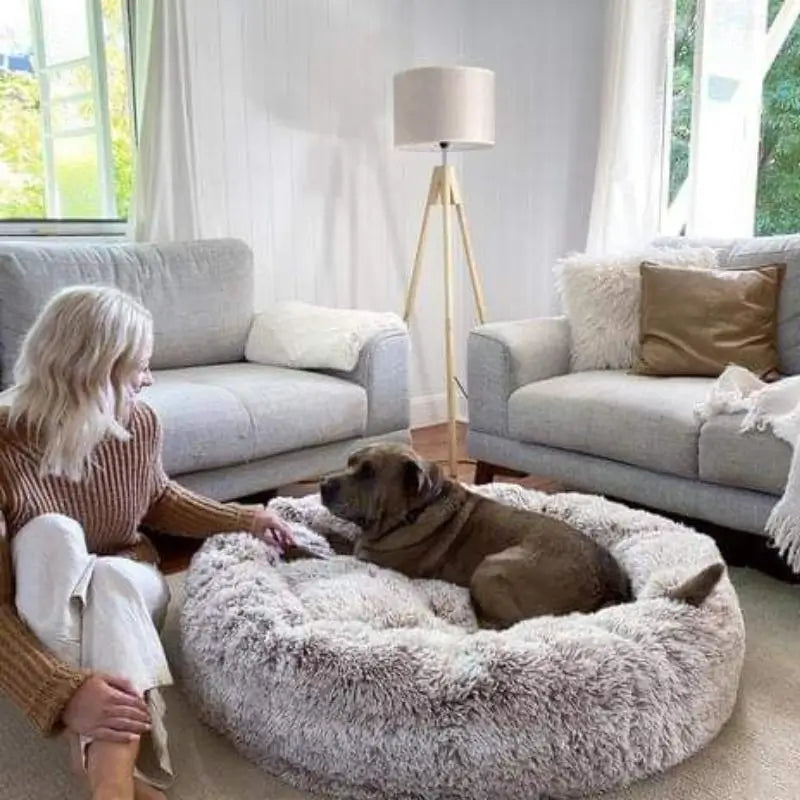 Dog laying on fluffy dog bed in light grey color