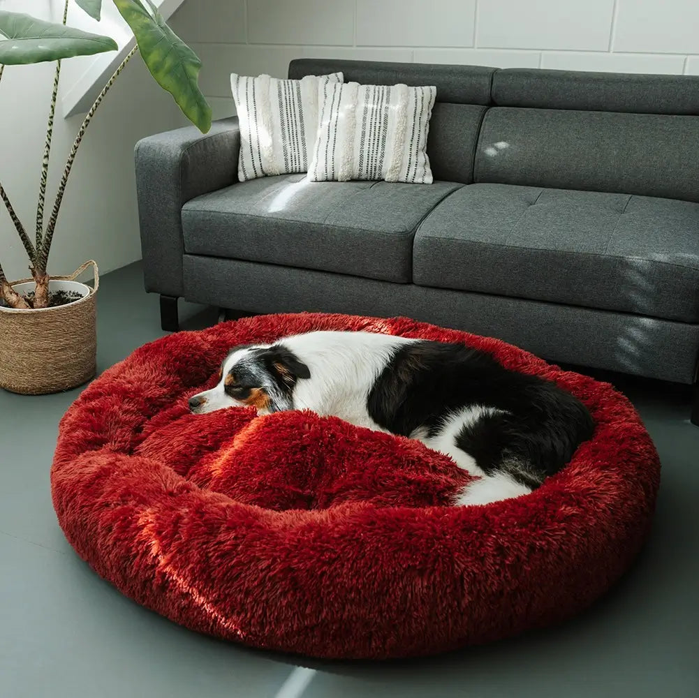 MrFluffyFriend™ - World's #1 Anxiety Relieving Dog Bed