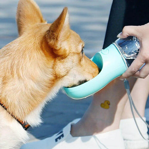 Portable pet drinking clearance bottle