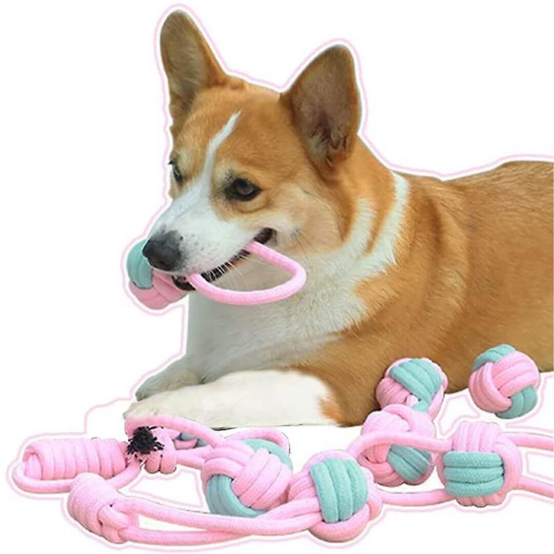 MrFluffyFriend™ - Set of 6 Dog Toys for Stronger Teeth