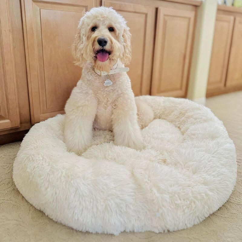 MrFluffyFriend™ - World's #1 Anxiety Relieving Pet Bed