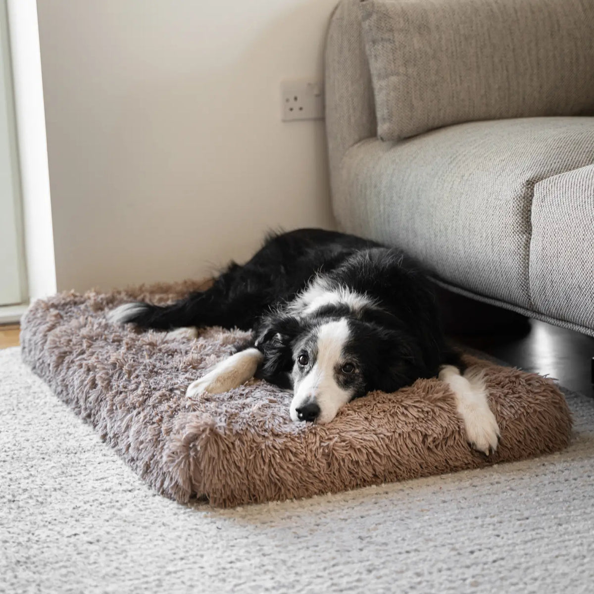 MrFluffyFriend™ - Orthopedic Pillow