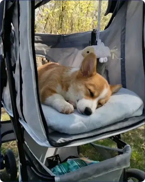 Melissa – 29 – Texas