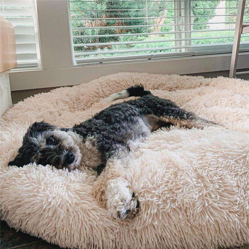 MrFluffyFriend™ - World's #1 Anxiety Relieving Dog Bed