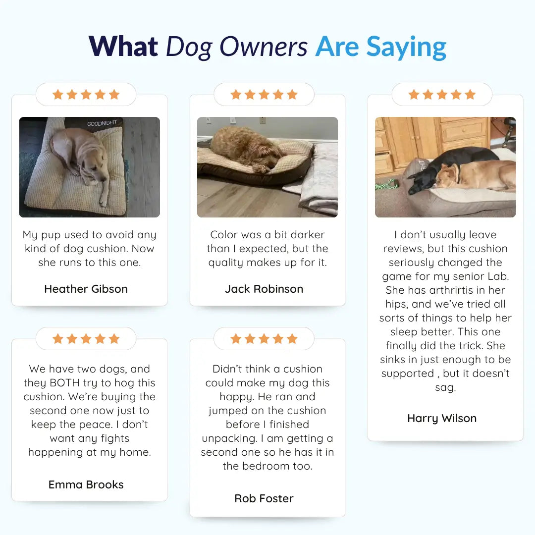 MrFluffyFriend™ - Calming Dog Cushion (SF Anim)