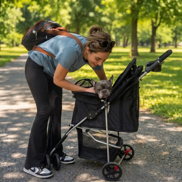 Make every walk comfortable, safe & stress-free for your dog
