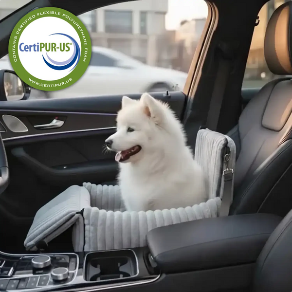 Make every car ride safe & comfortable for your dog