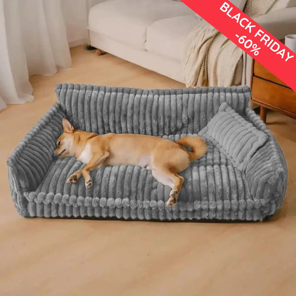 Do you want to give your dog the comfort he deserves?