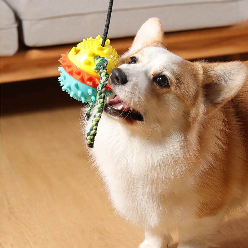 MrFluffyFriend™ - Teeth Cleaning Toy