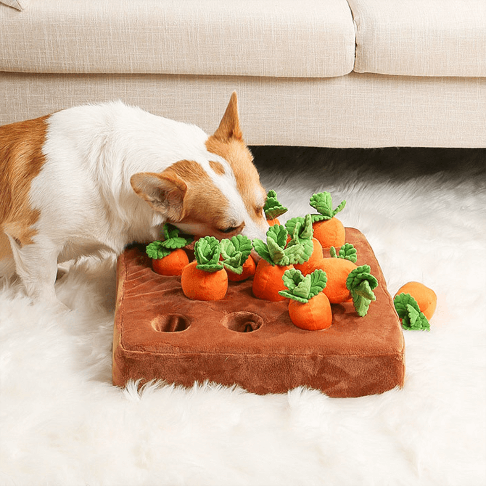 Carrot Snuffle Toy