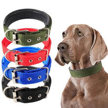 Load image into Gallery viewer, MrFluffyFriend™ - Adjustable Dog Collar
